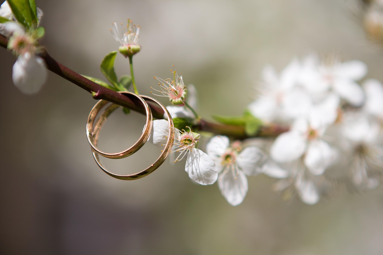 wedding, rings, spring, tree branch, bloom, jewelry, ring, greens, engagement, love, nature, decorations